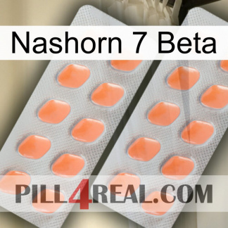 Rhino 7 Beta 27